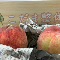 画像450