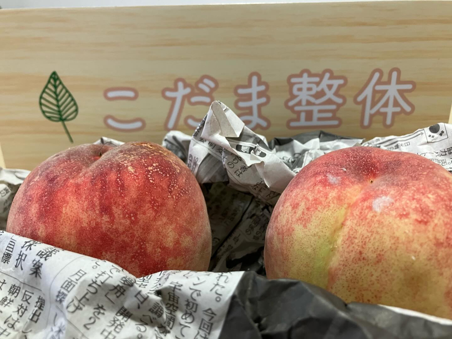 画像450