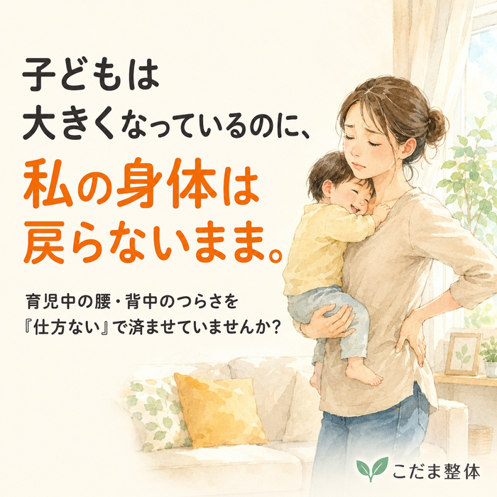 画像492